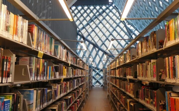 public-apis: 2.000'e yakın ücretsiz API tek listede, Claude ya da Codex ile projenize bağlamak için hazır prompt